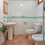 Pavoncelle