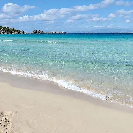Pavoncelle Santa Teresa Gallura